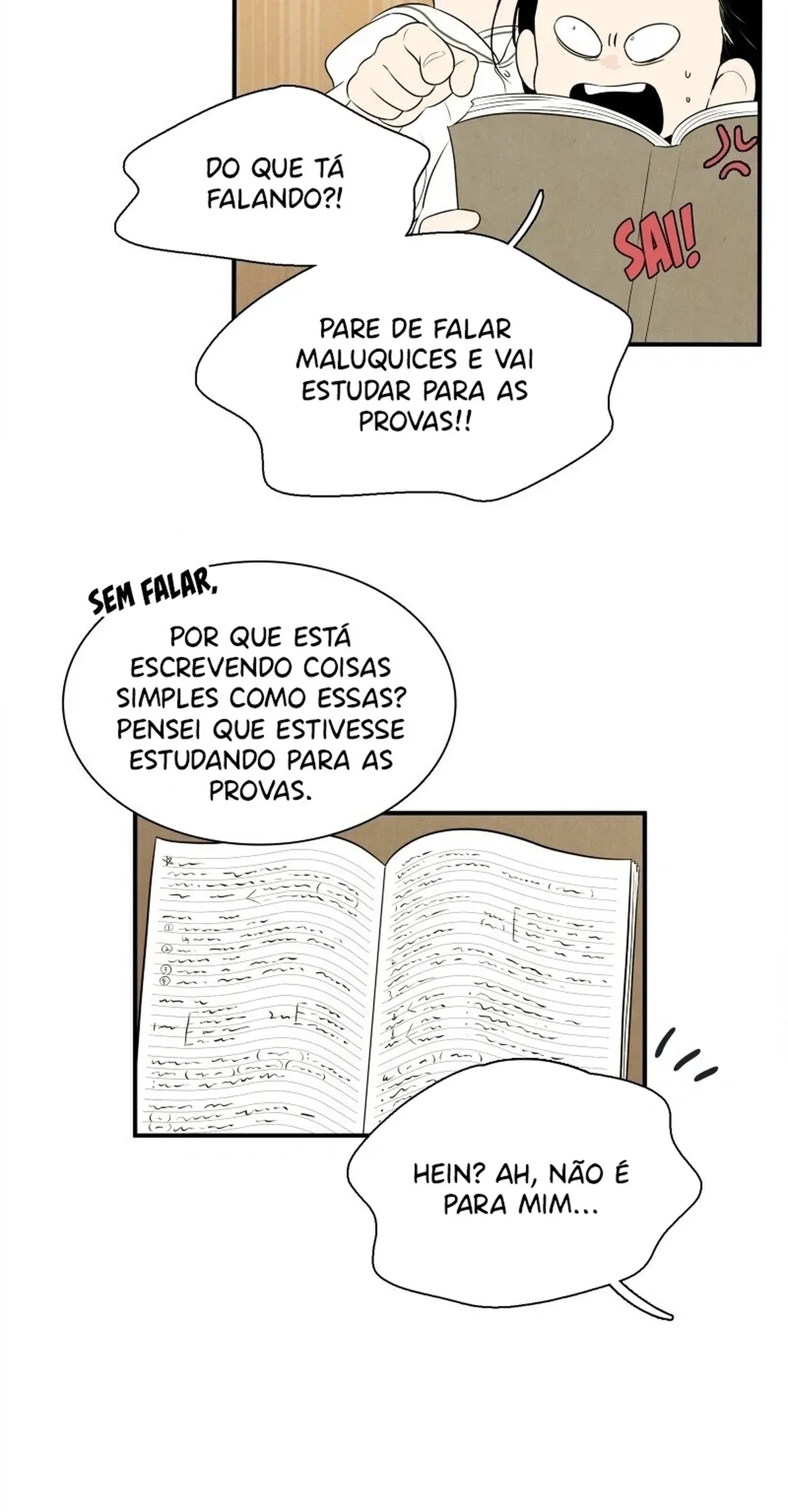 Página 19