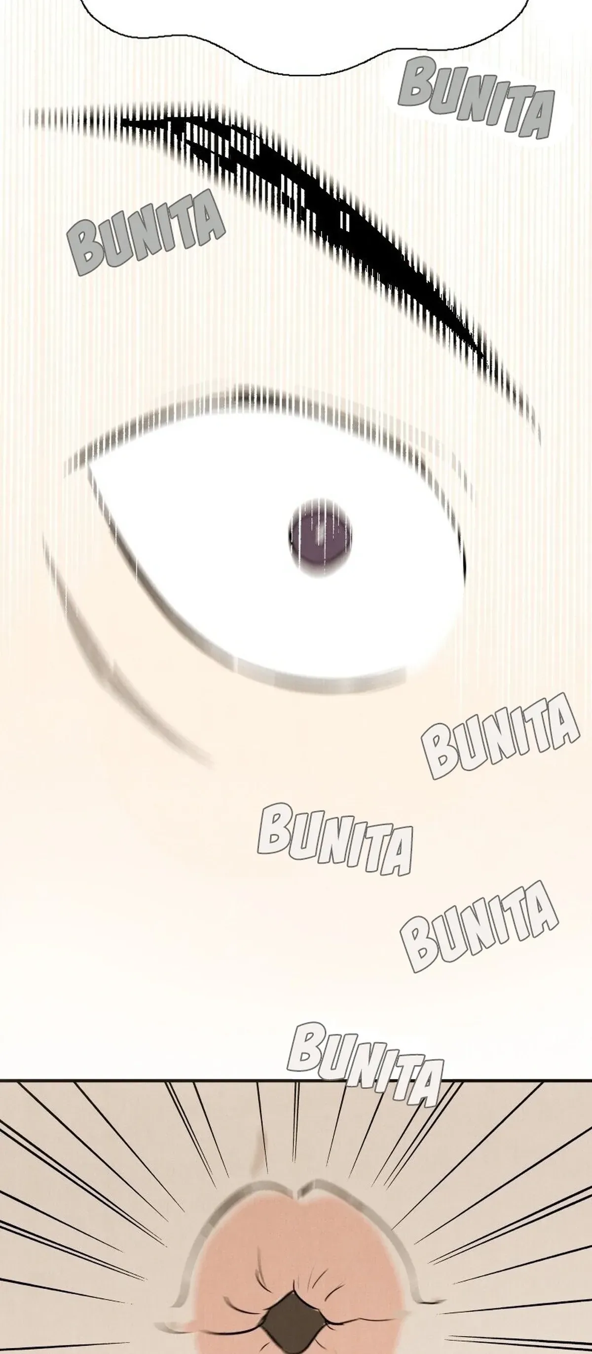 Página 51