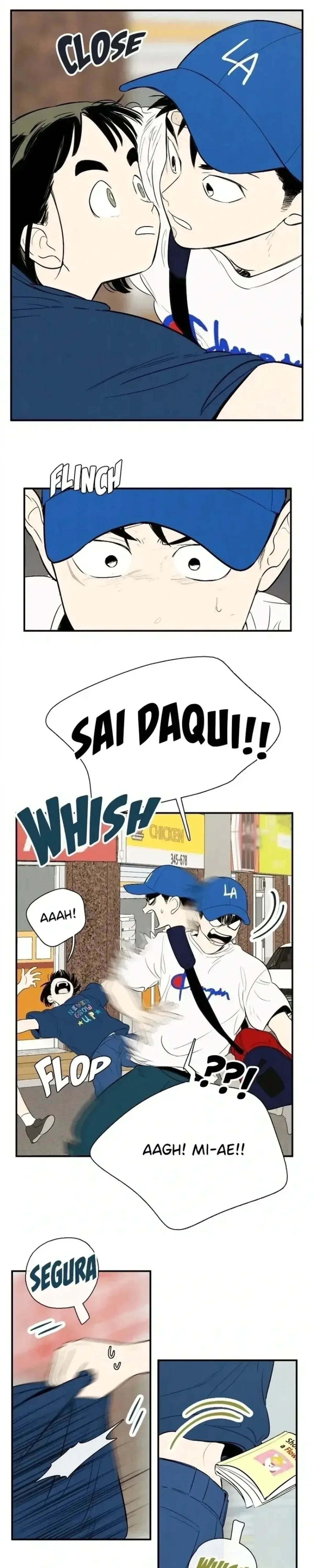 Página 43