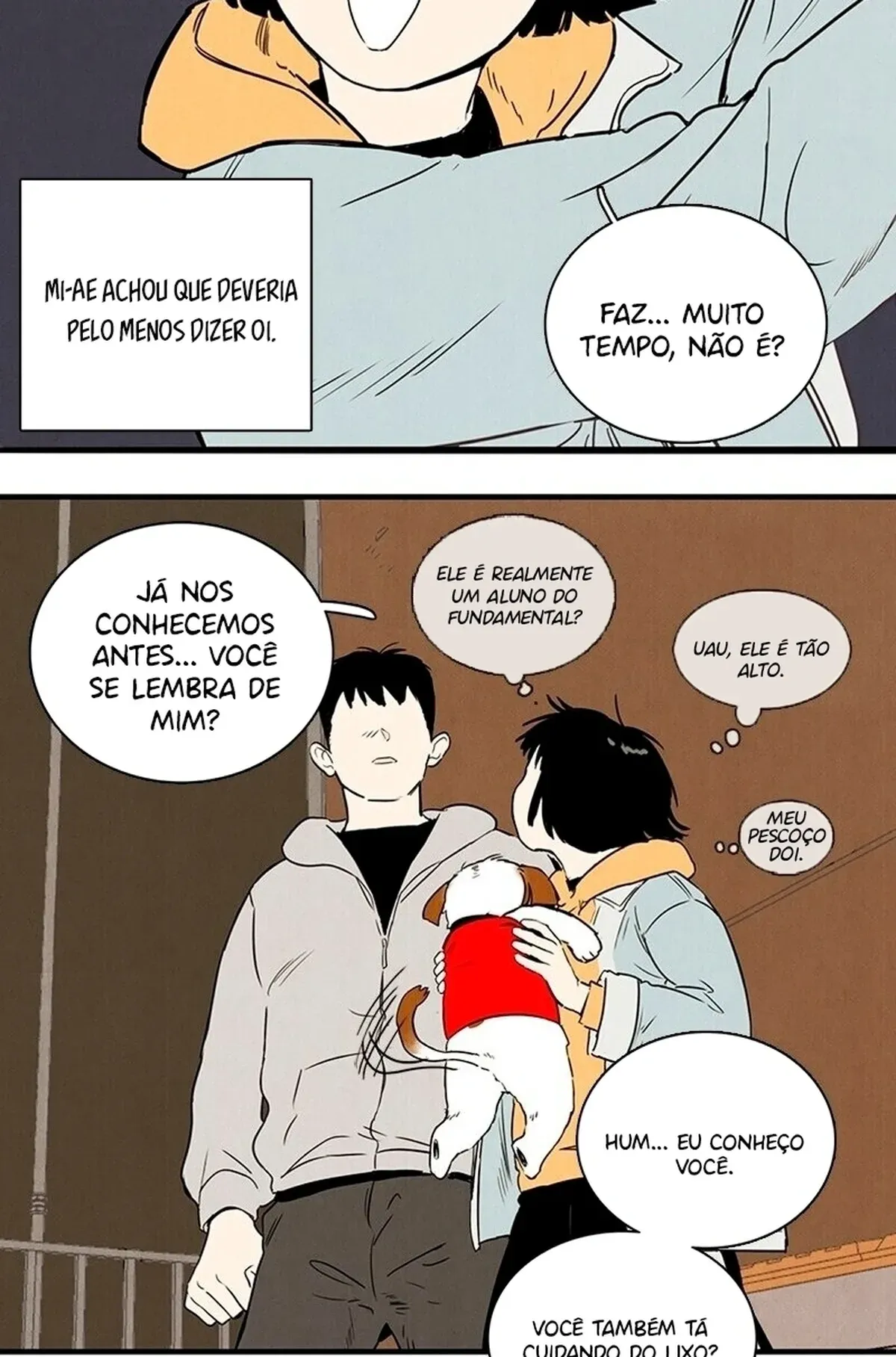Página 19