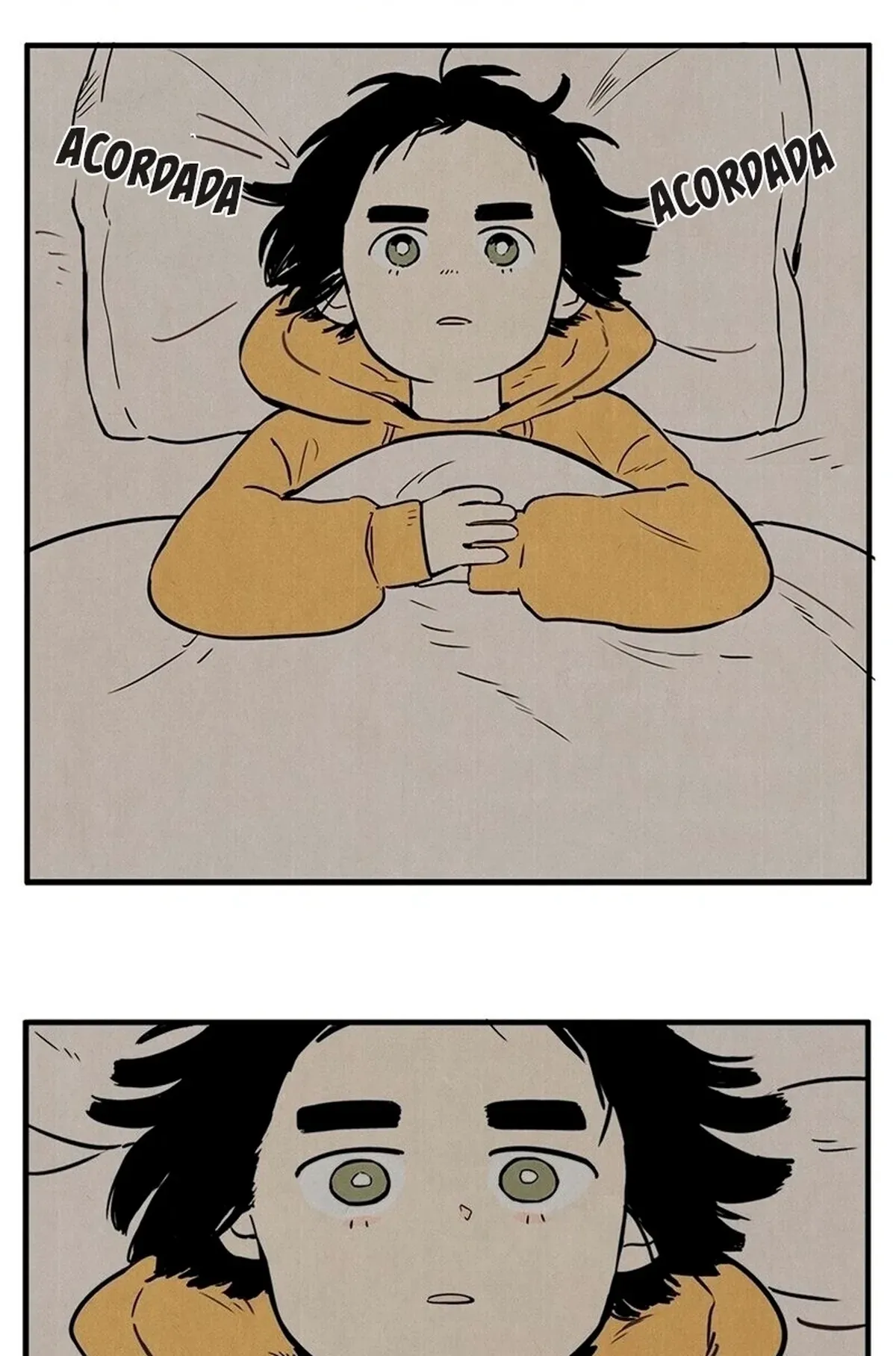 Página 43