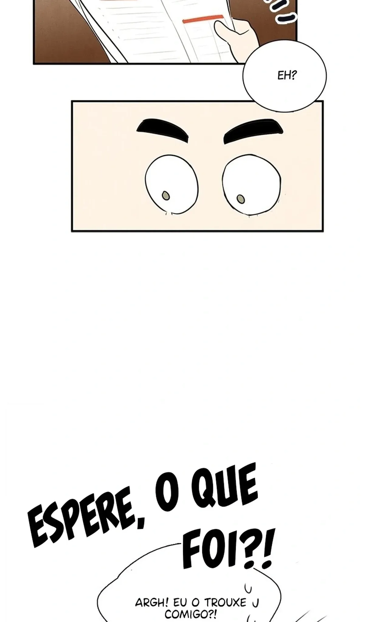 Página 41