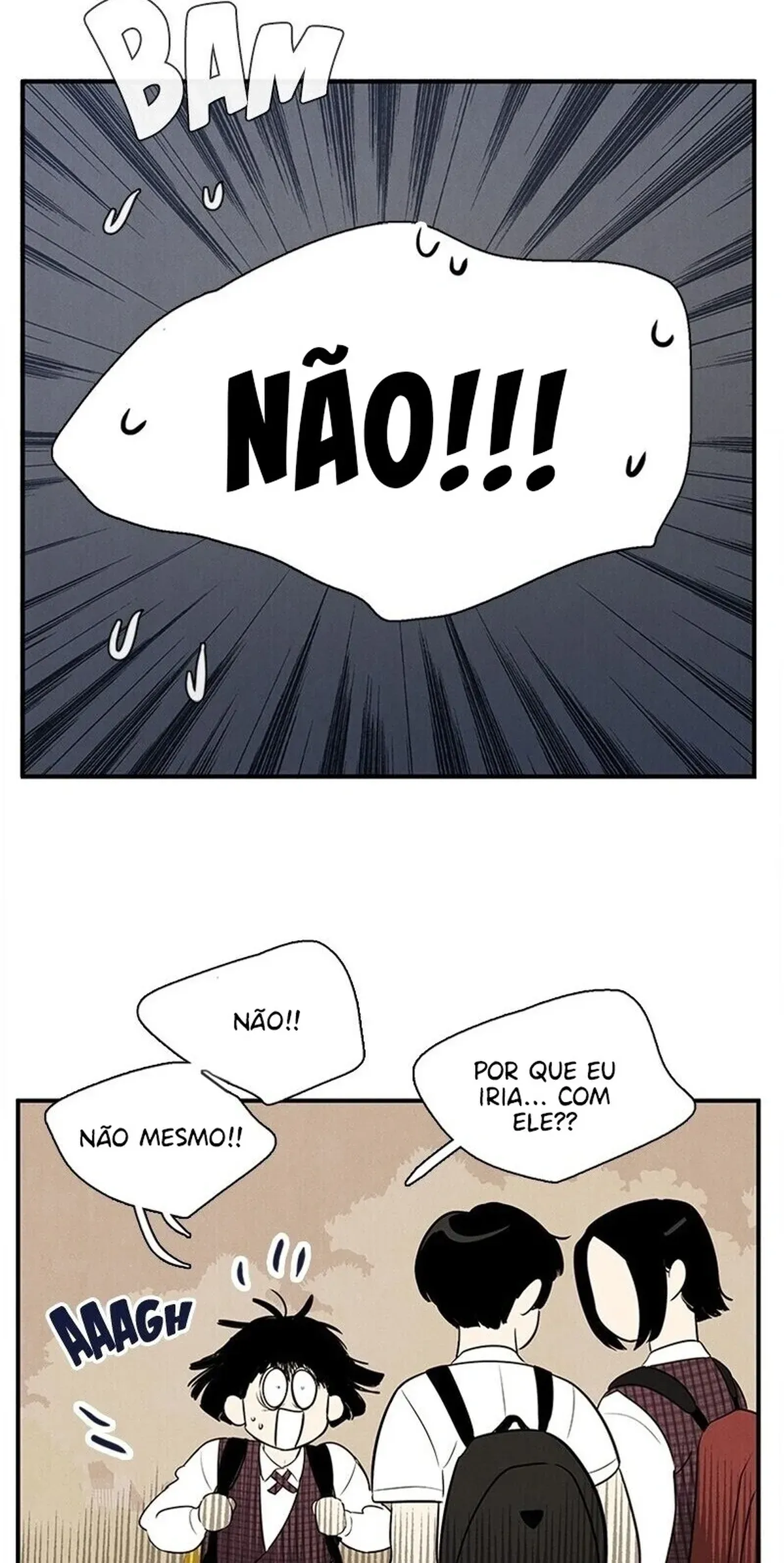 Página 117