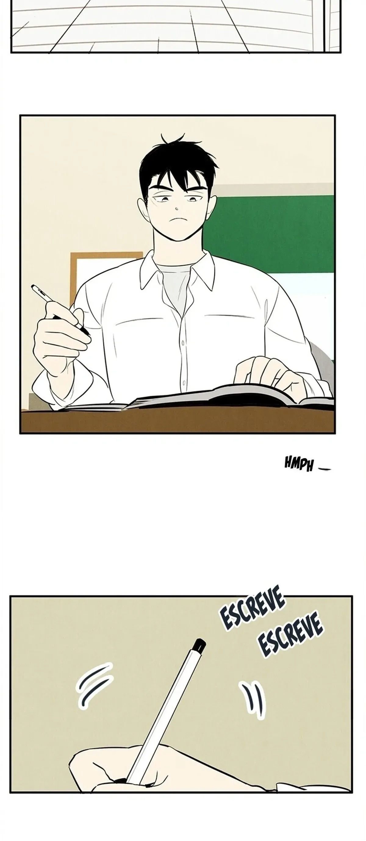 Página 43