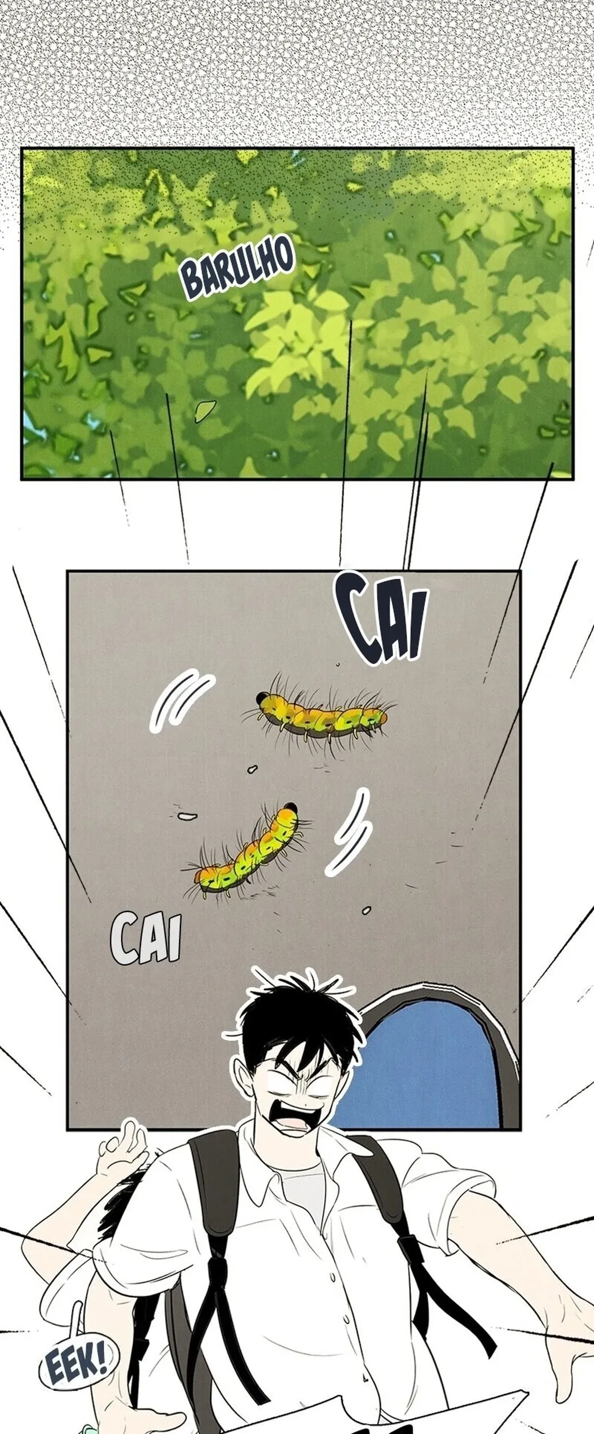 Página 43