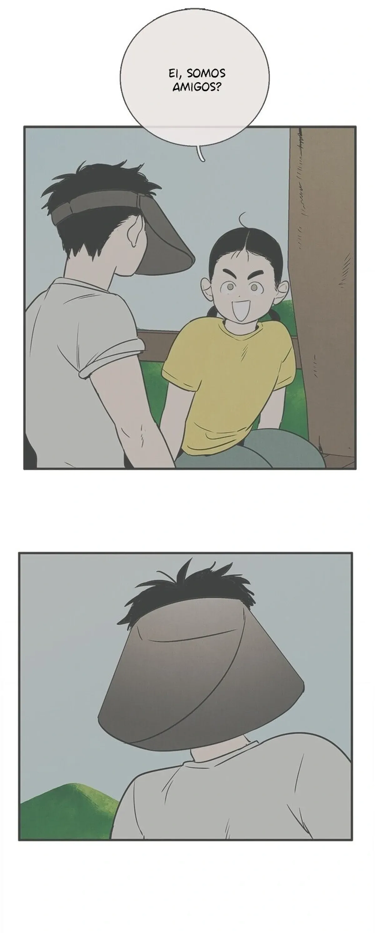 Página 101