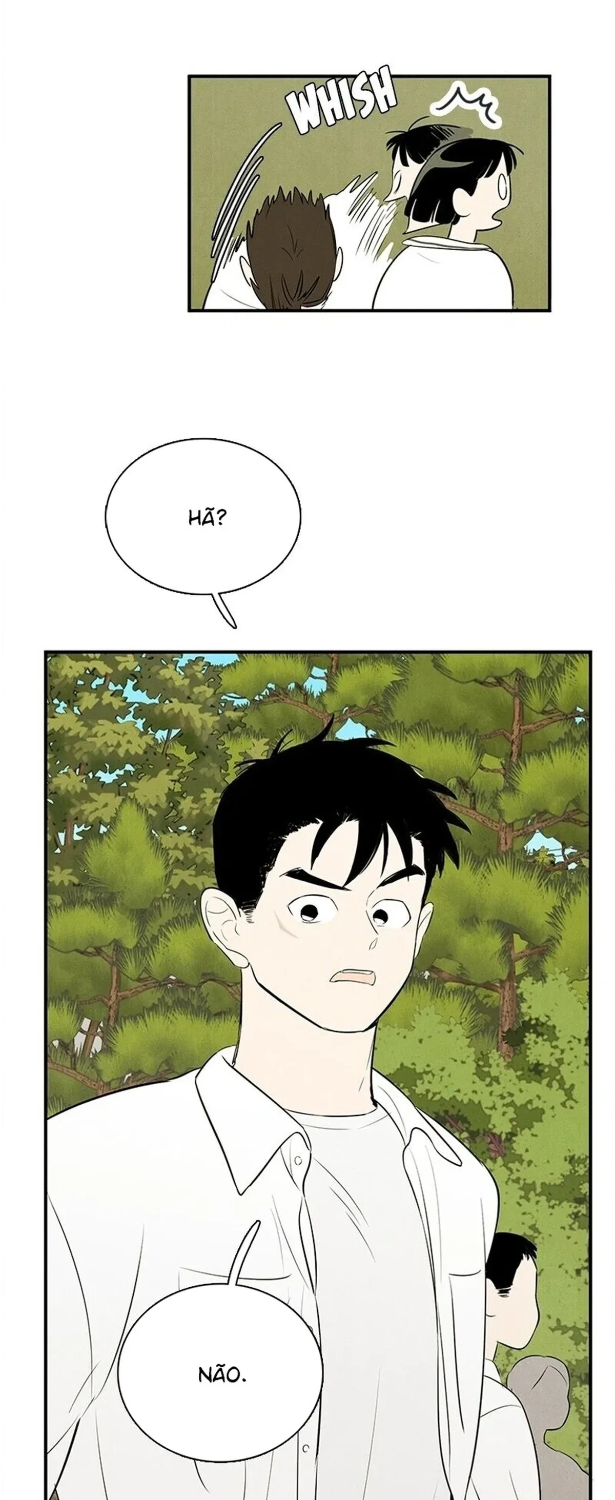 Página 37