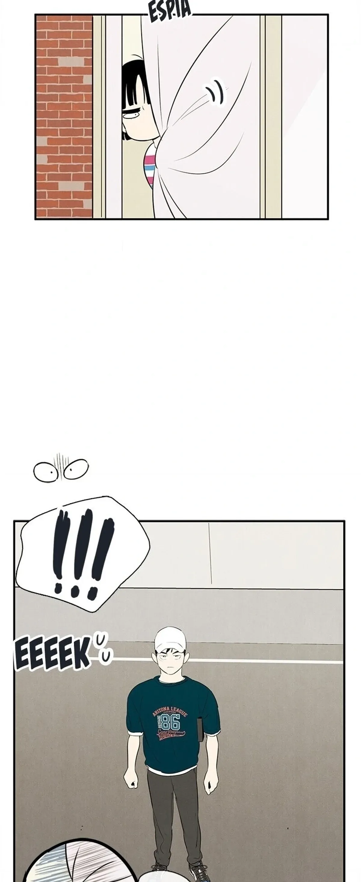 Página 102