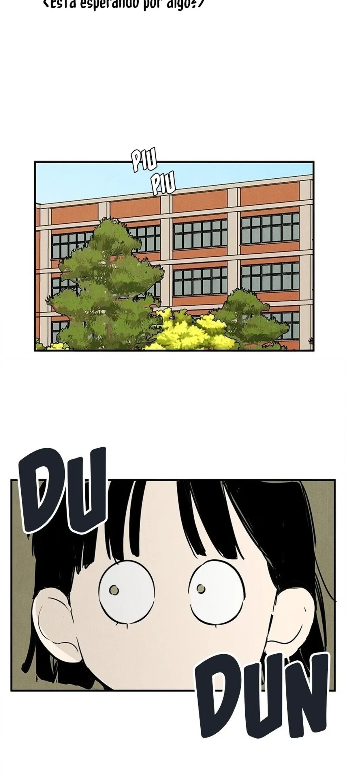 Página 113