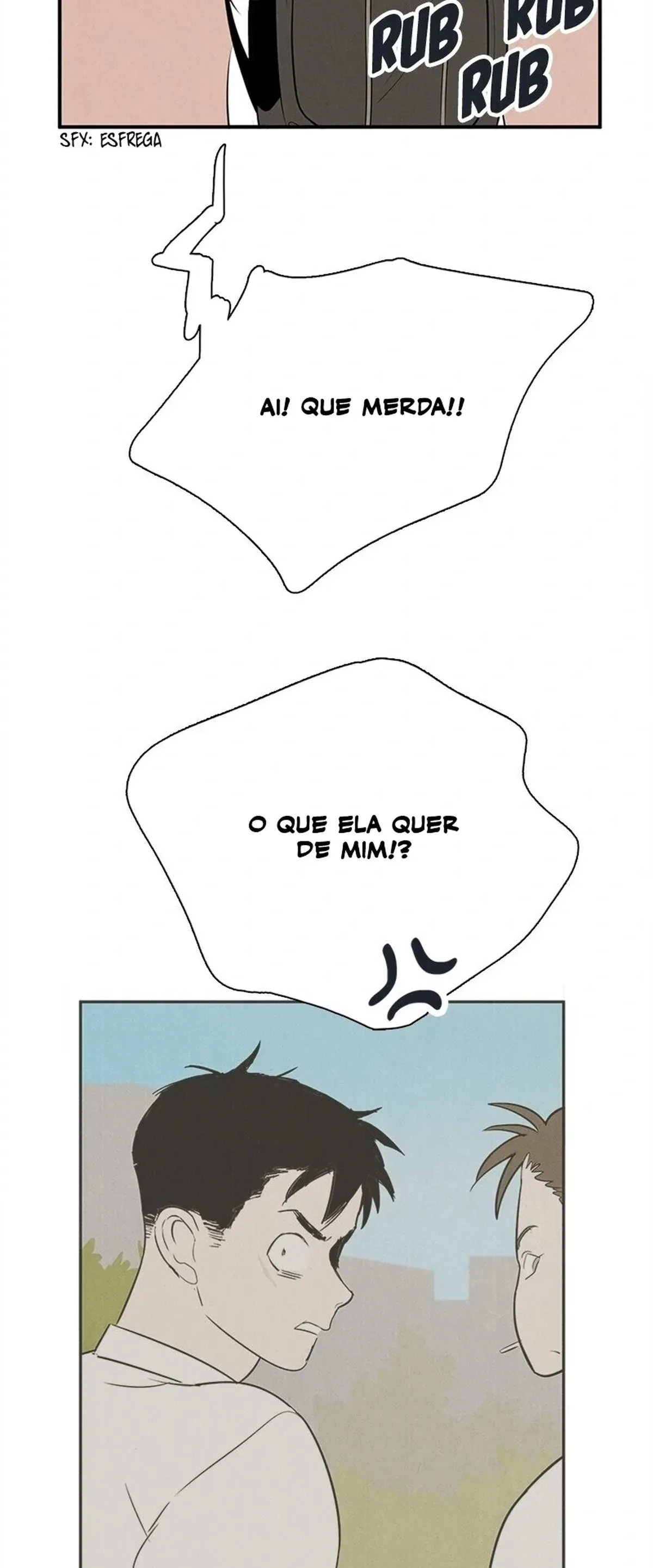 Página 113