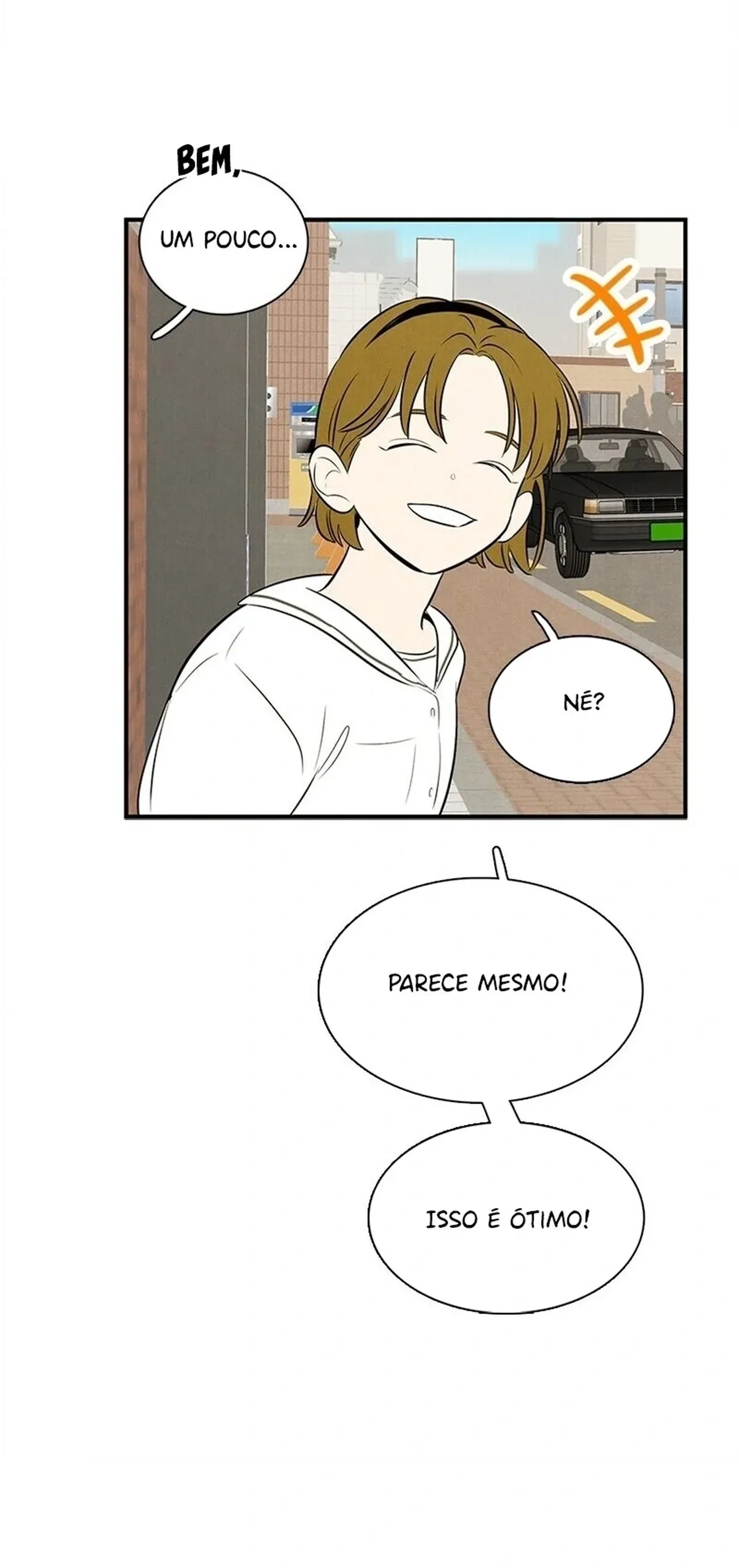 Página 113