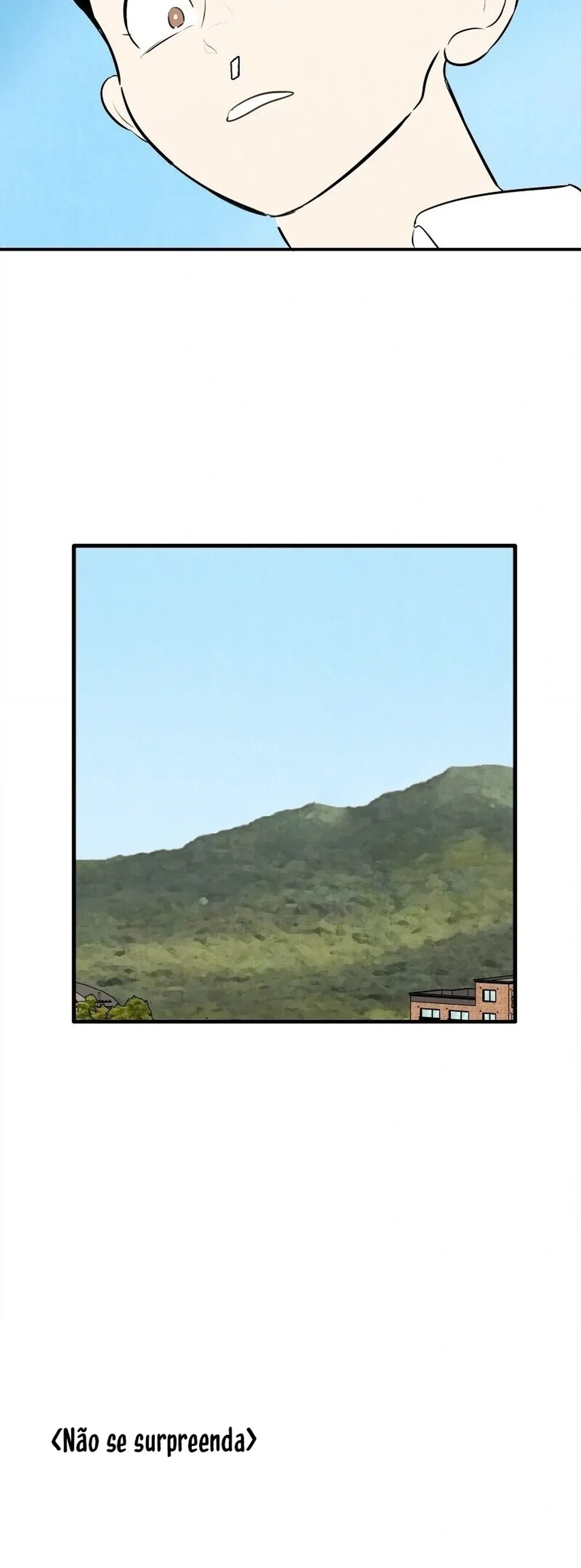 Página 46