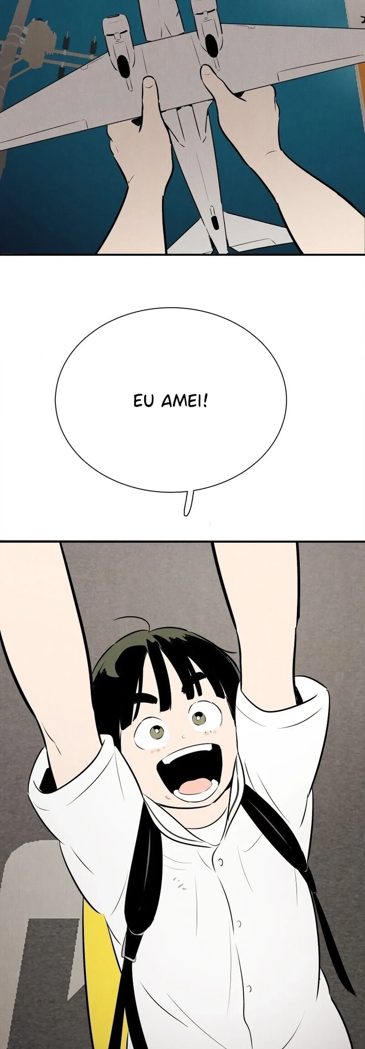 Página 105