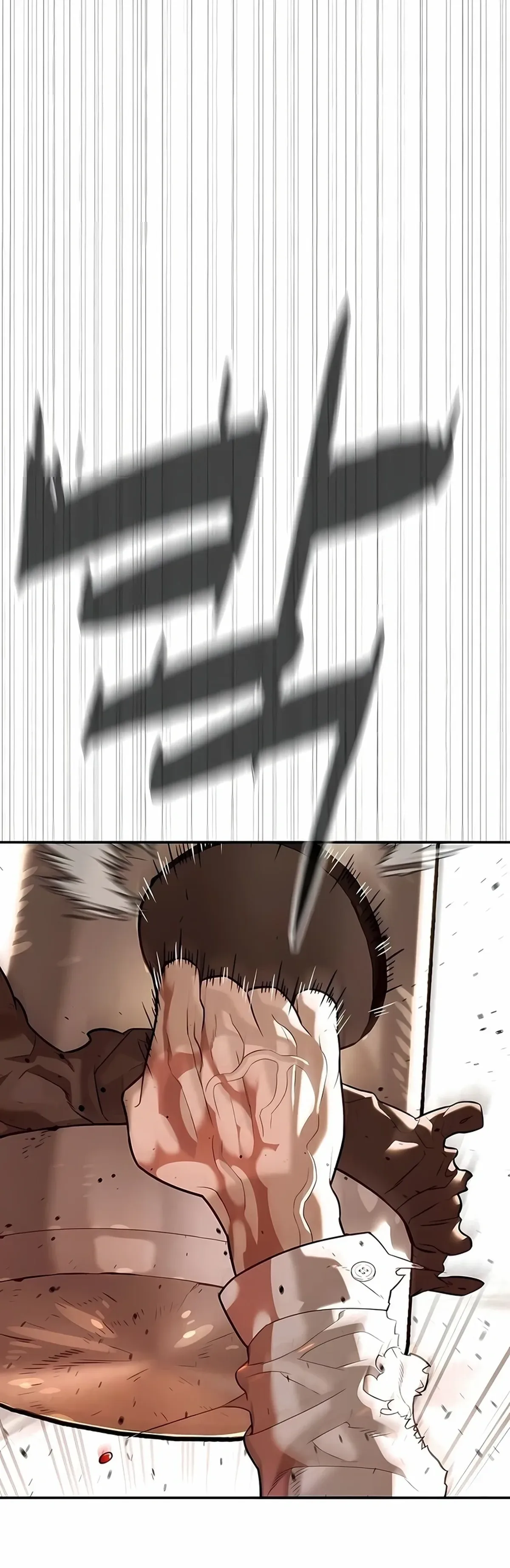 Página 117