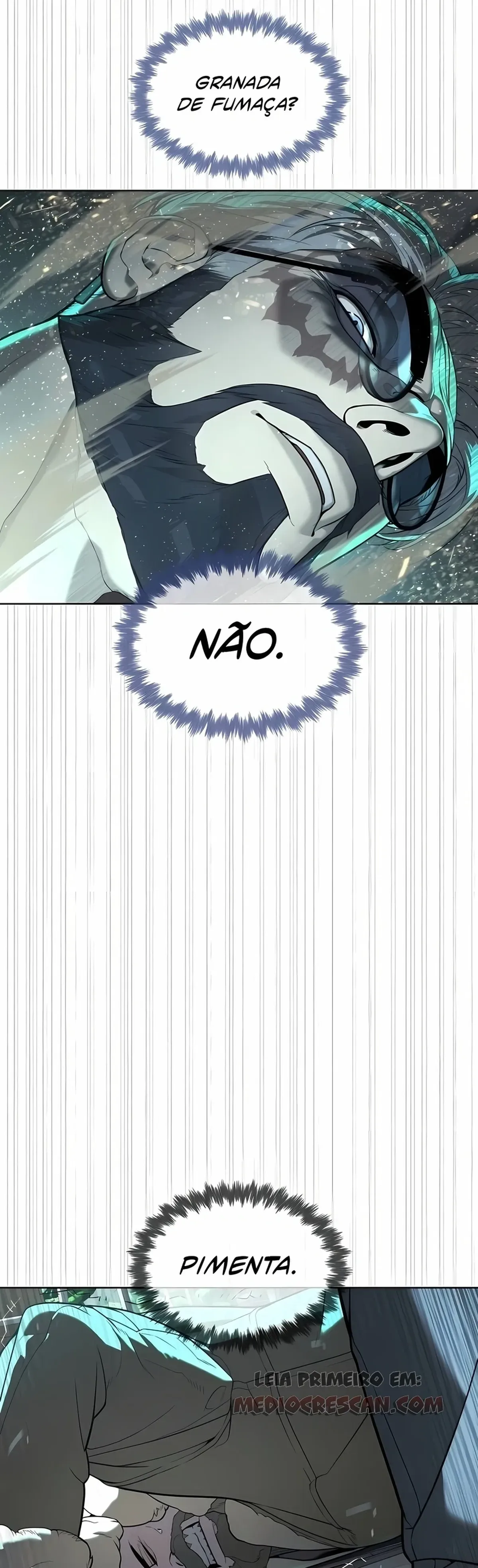 Página 113