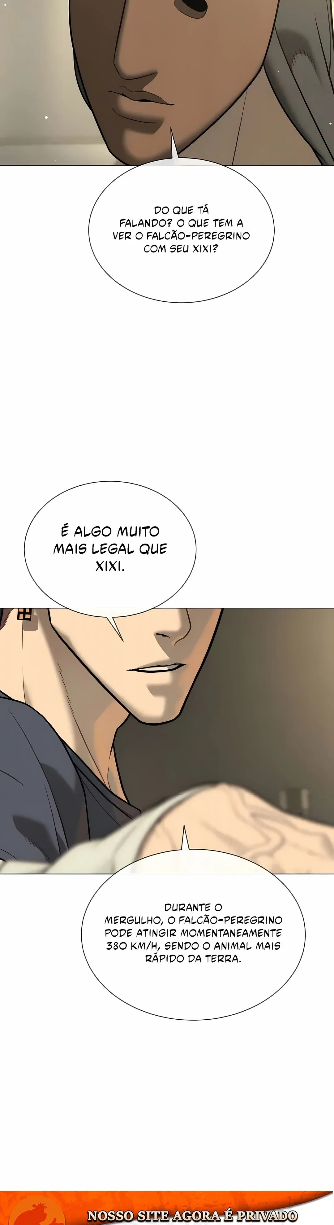 Página 47
