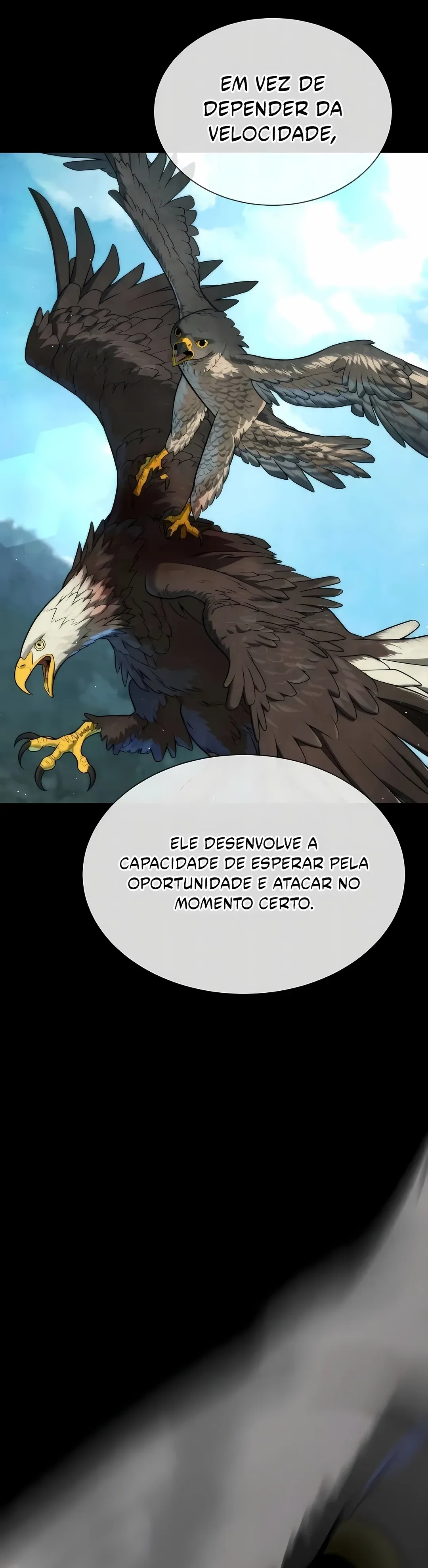 Página 101