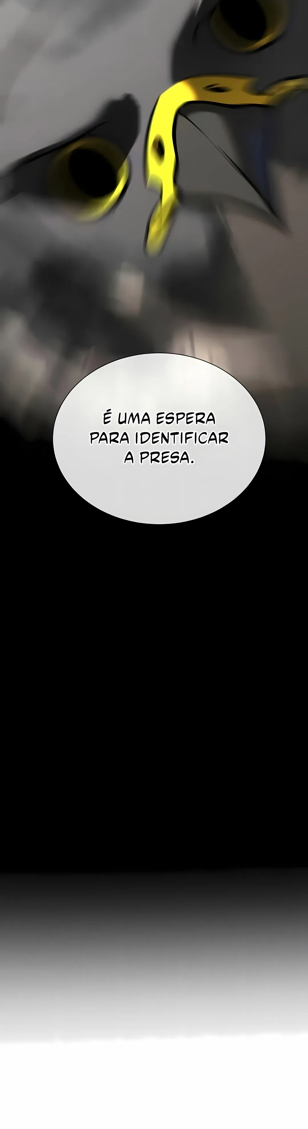Página 102