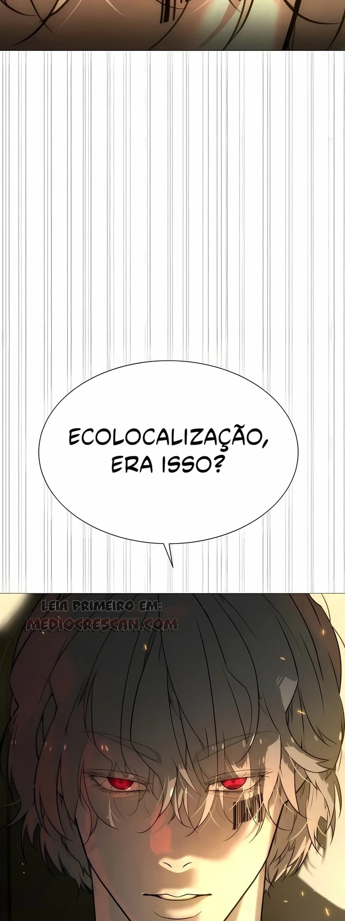 Página 113