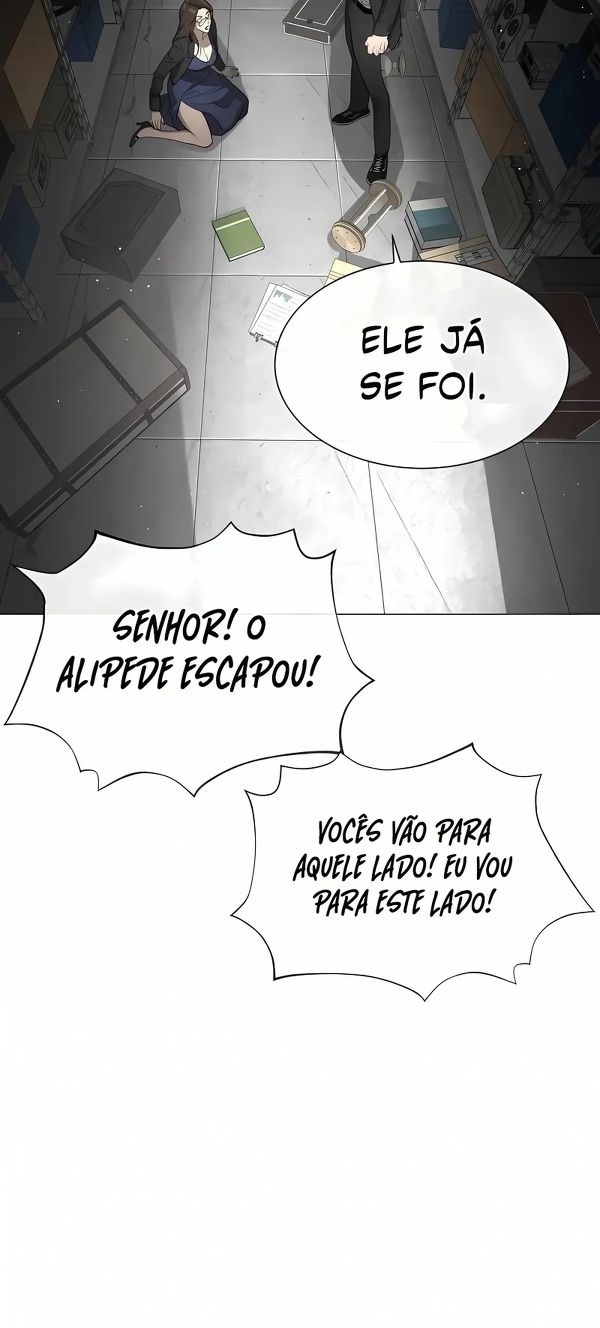 Página 91