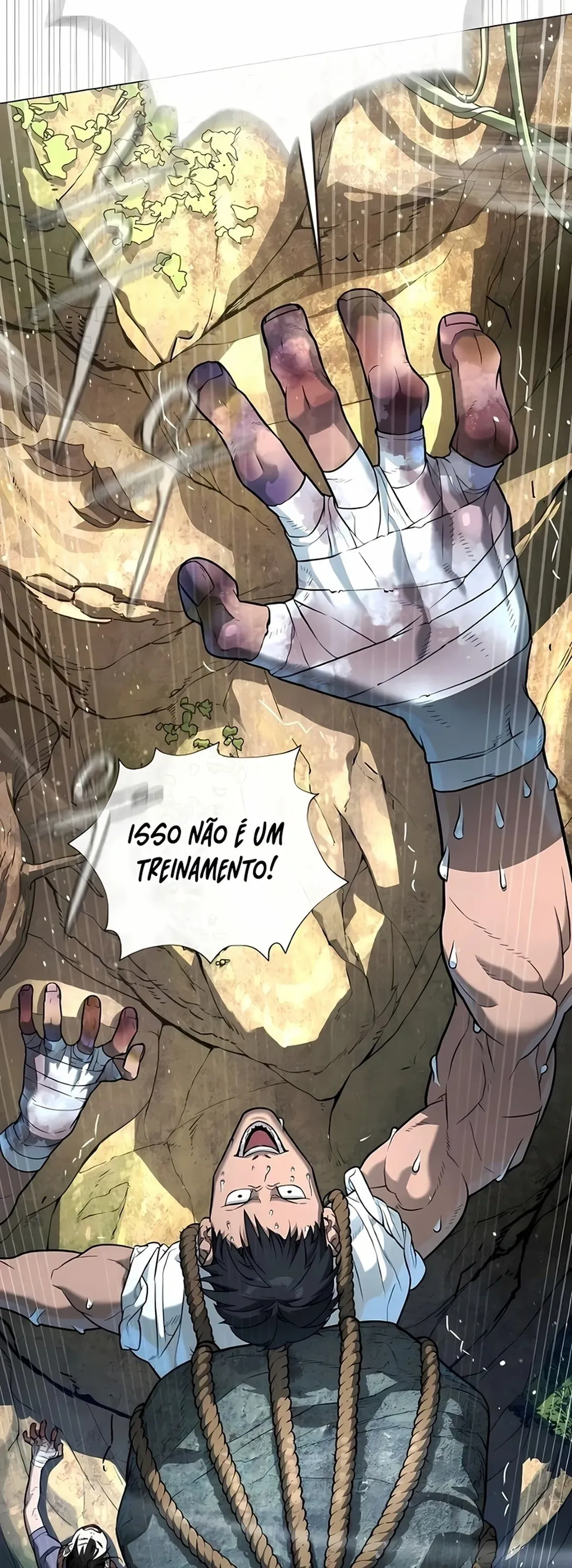 Página 43
