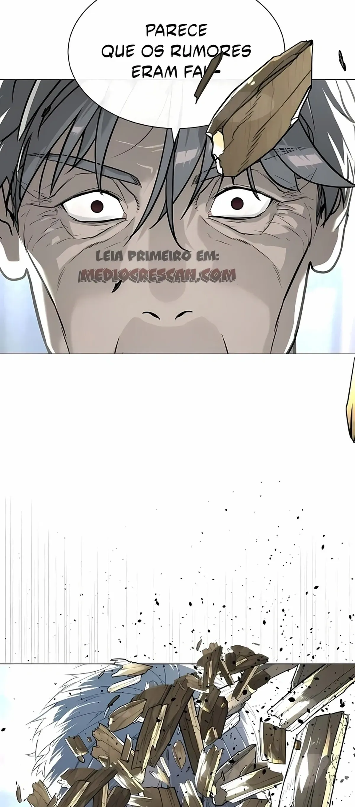 Página 101