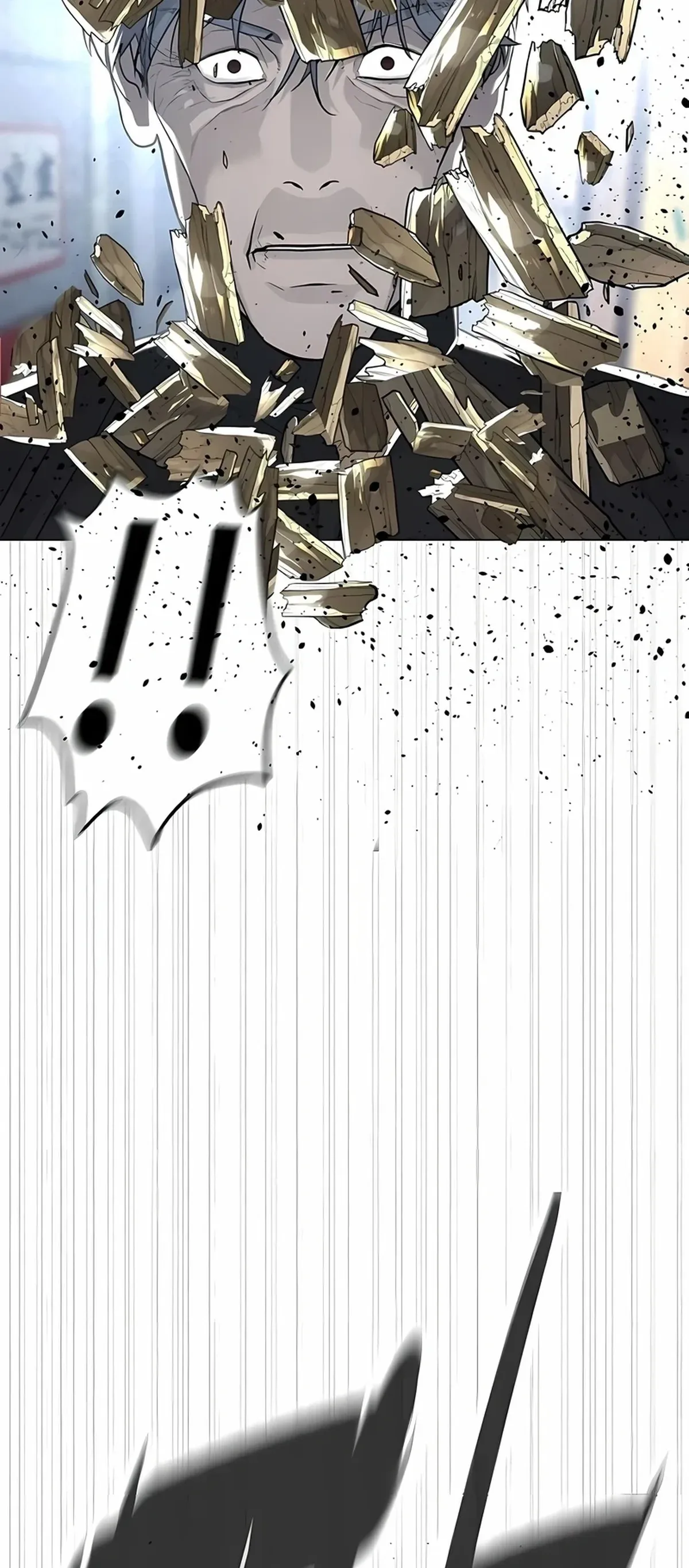 Página 102