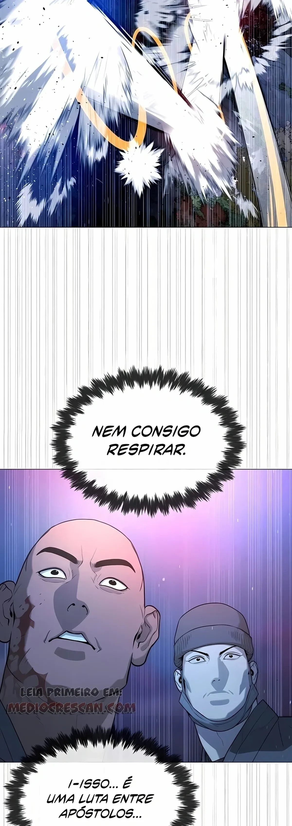 Página 46