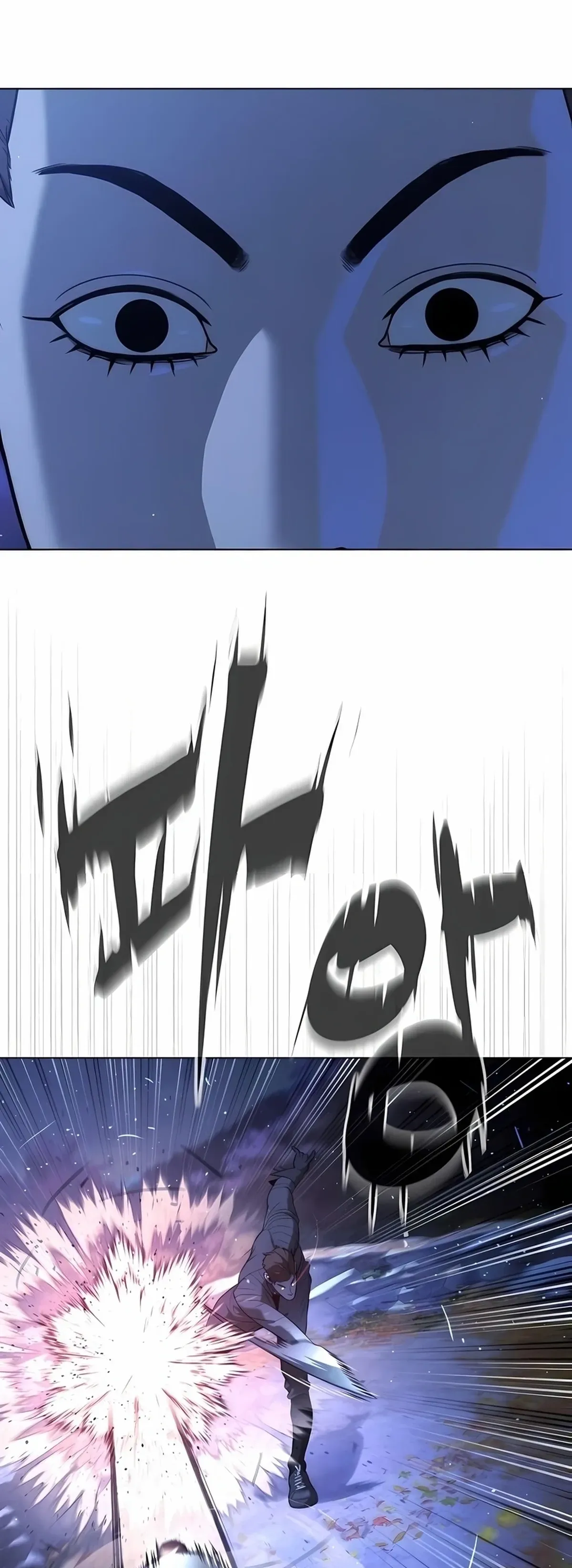 Página 113