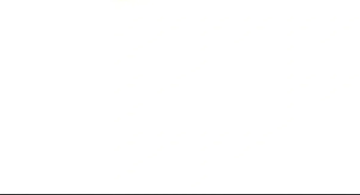 Página 45