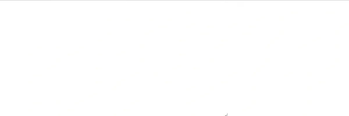 Página 60