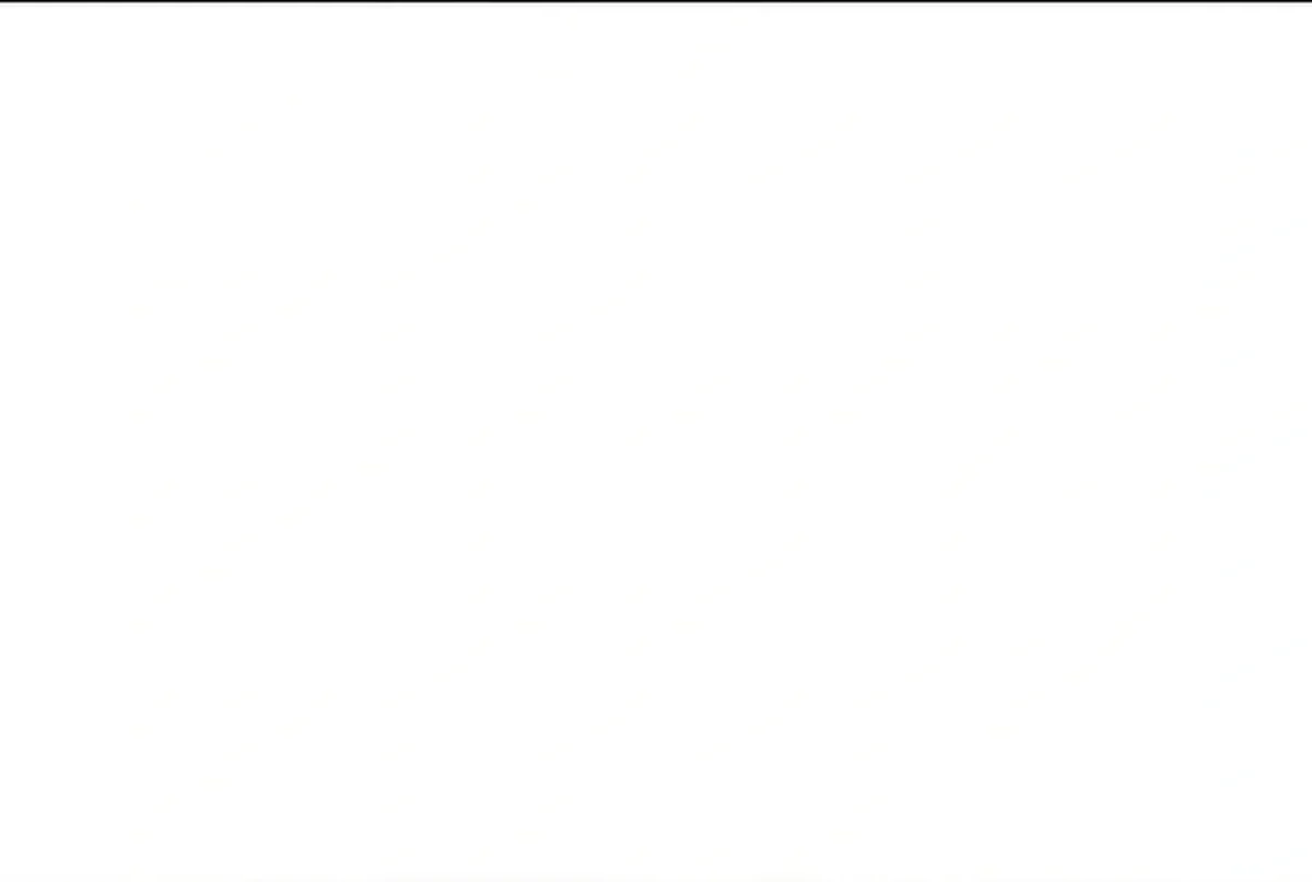 Página 101