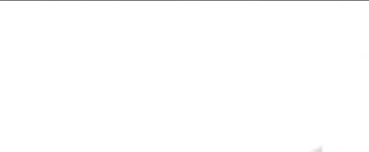 Página 207