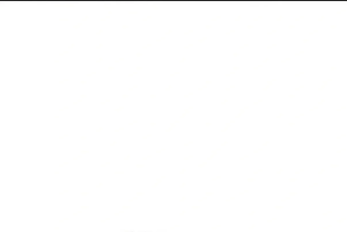 Página 107