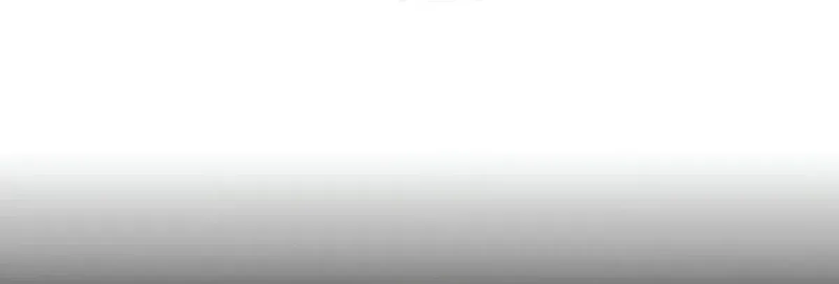 Página 111