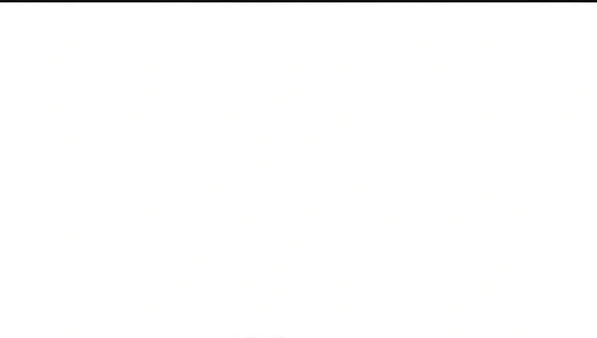 Página 62