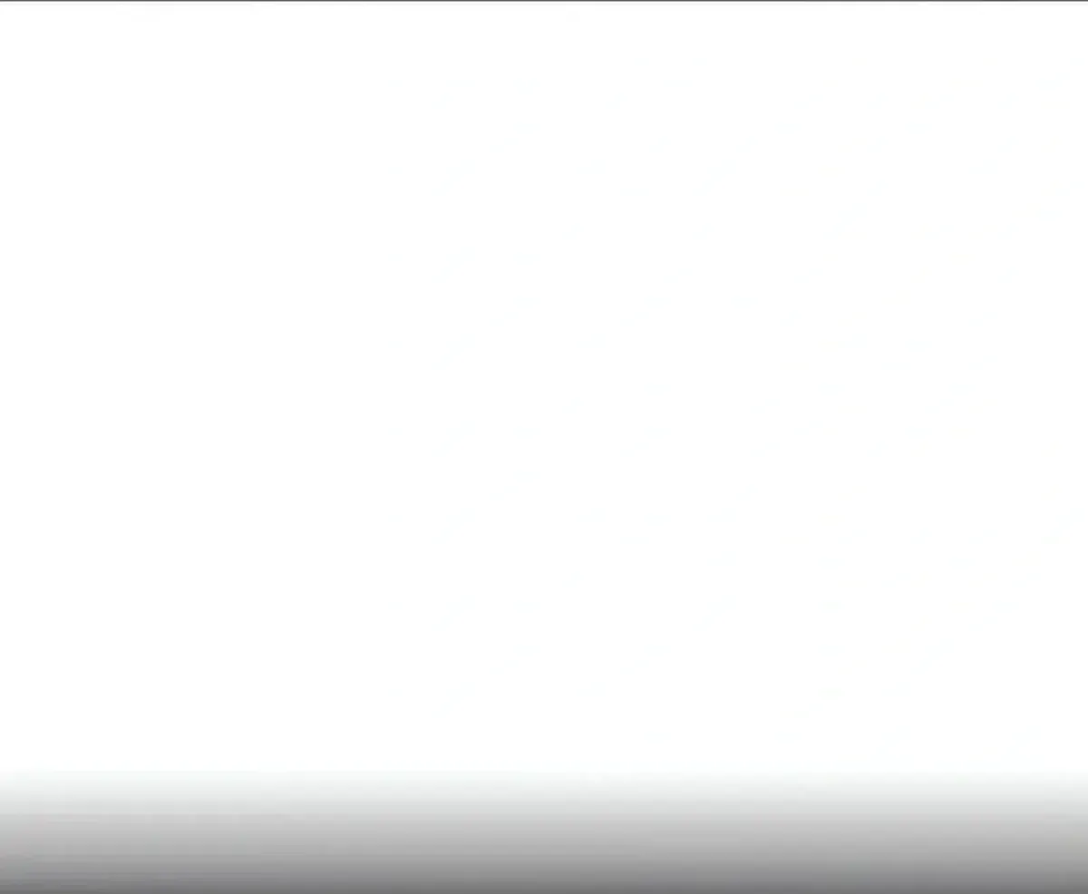 Página 205
