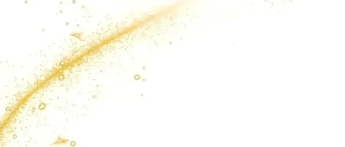 Página 116