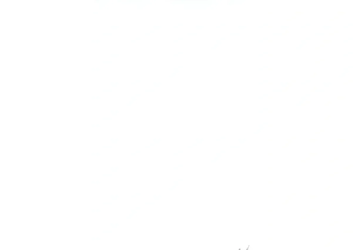 Página 94