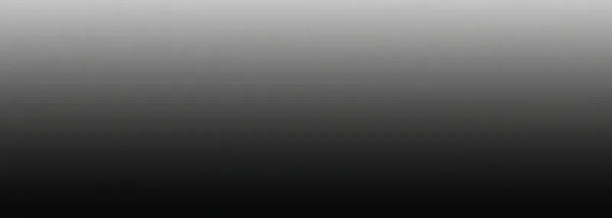 Página 51