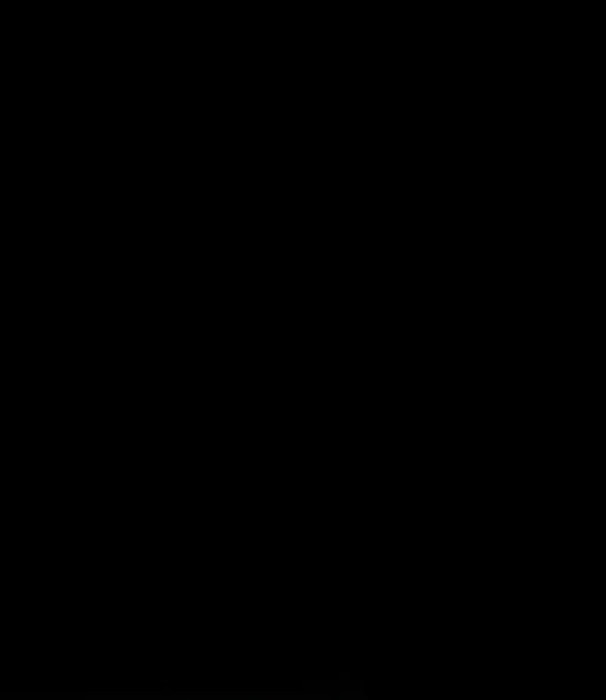 Página 216