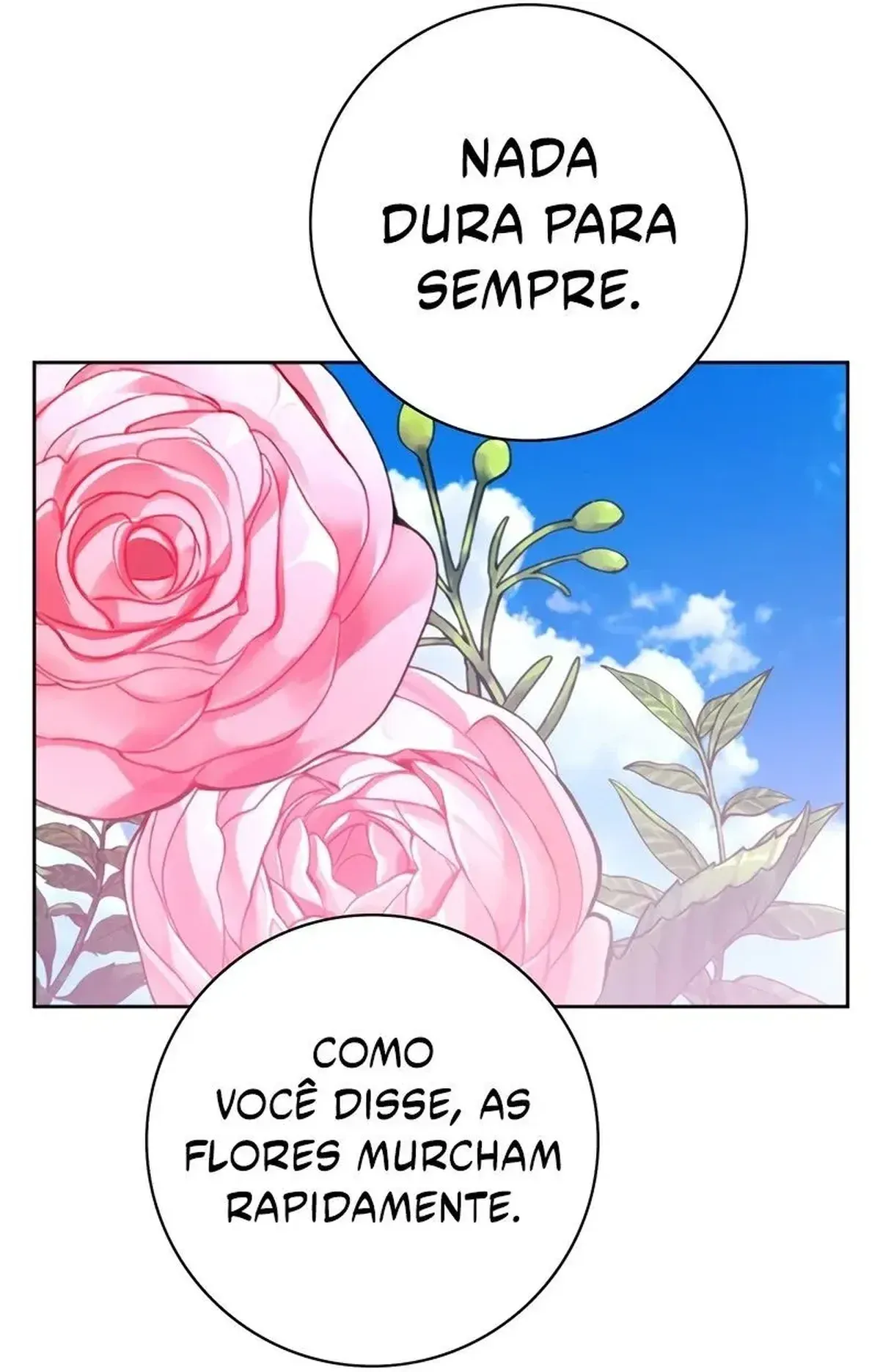 Página 102