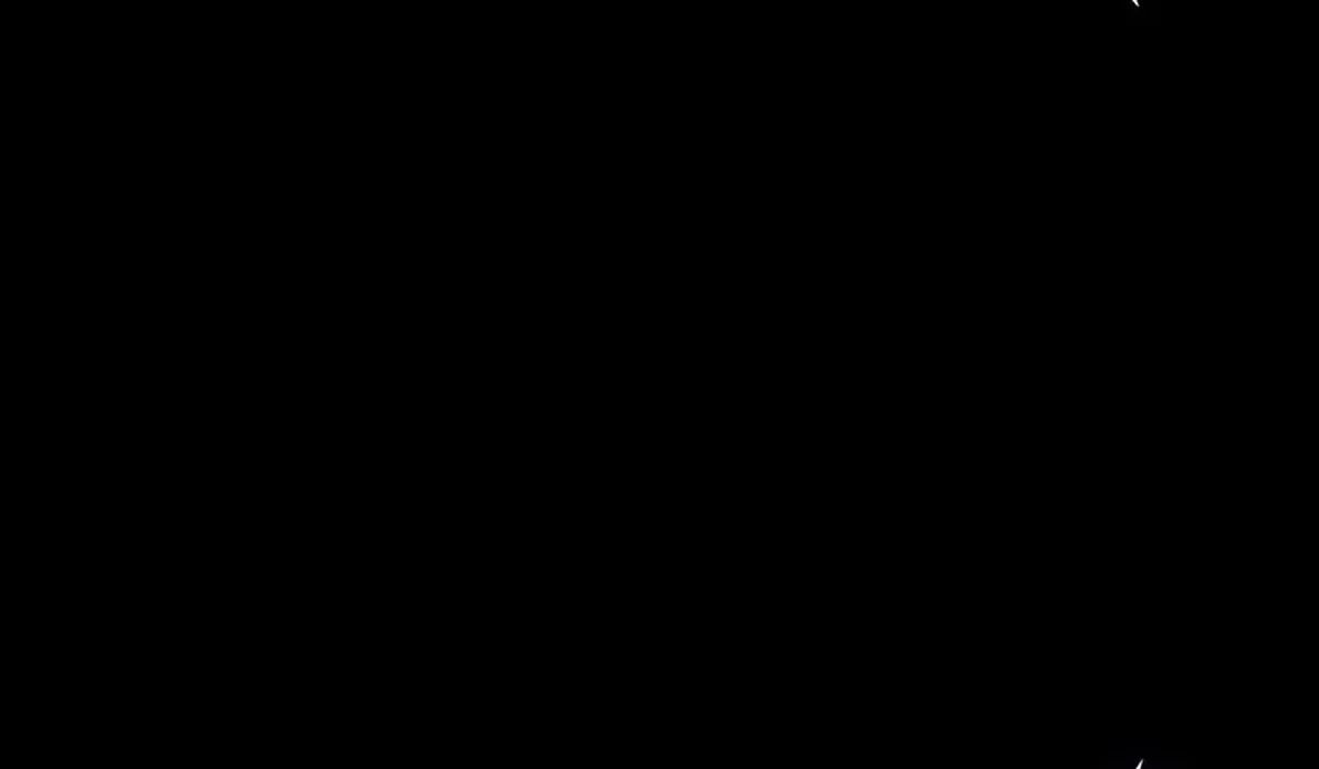 Página 219
