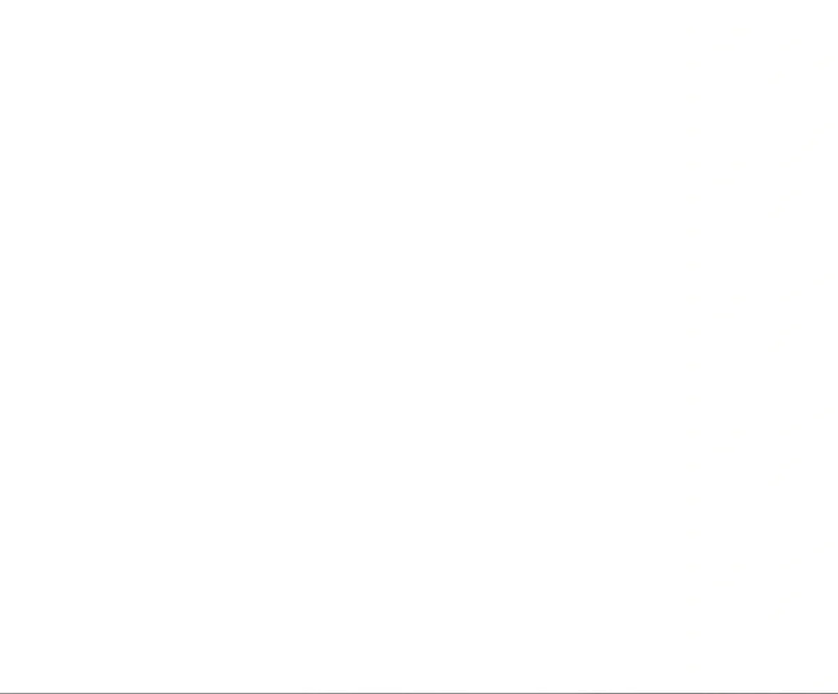 Página 51