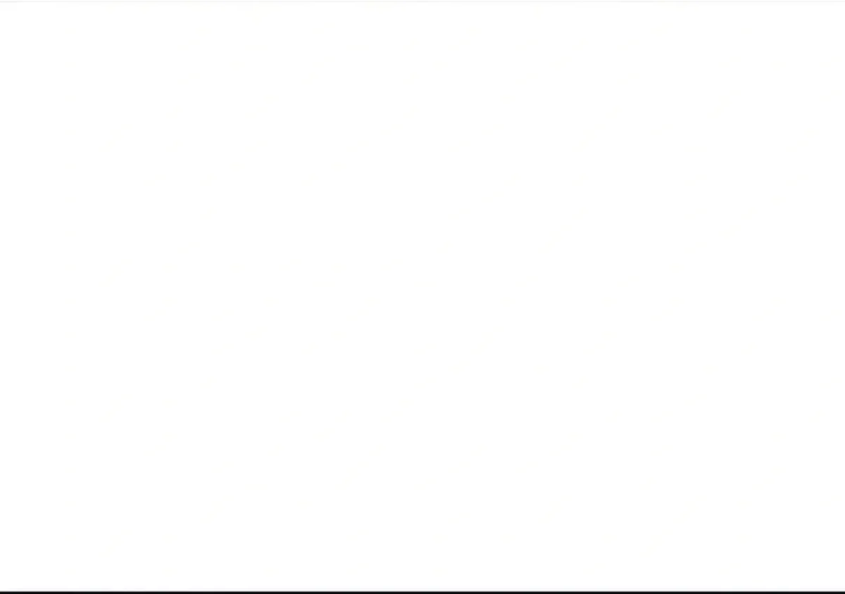 Página 79