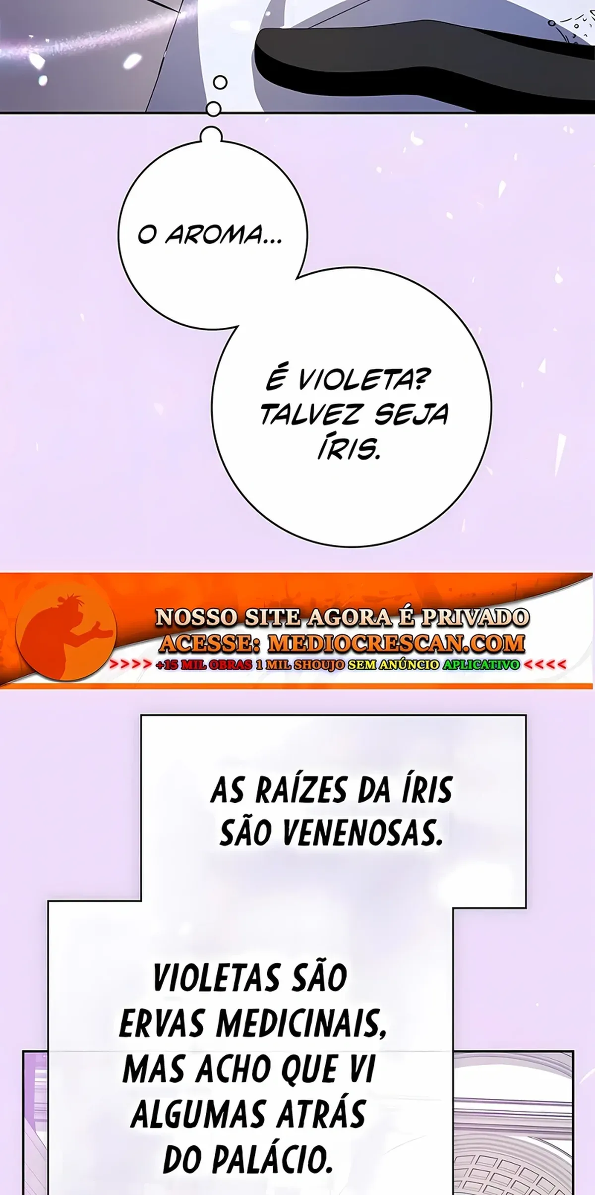 Página 44