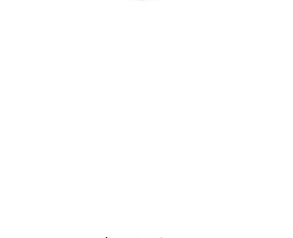Página 55