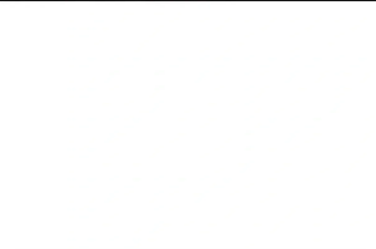 Página 49