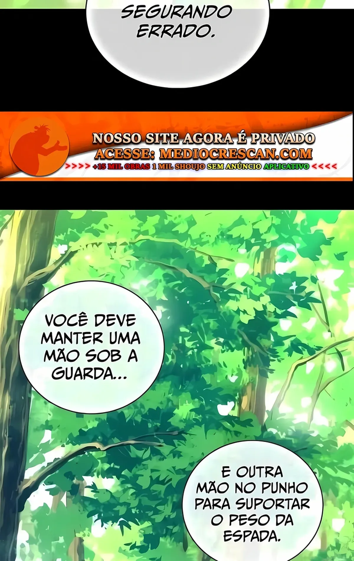 Página 106
