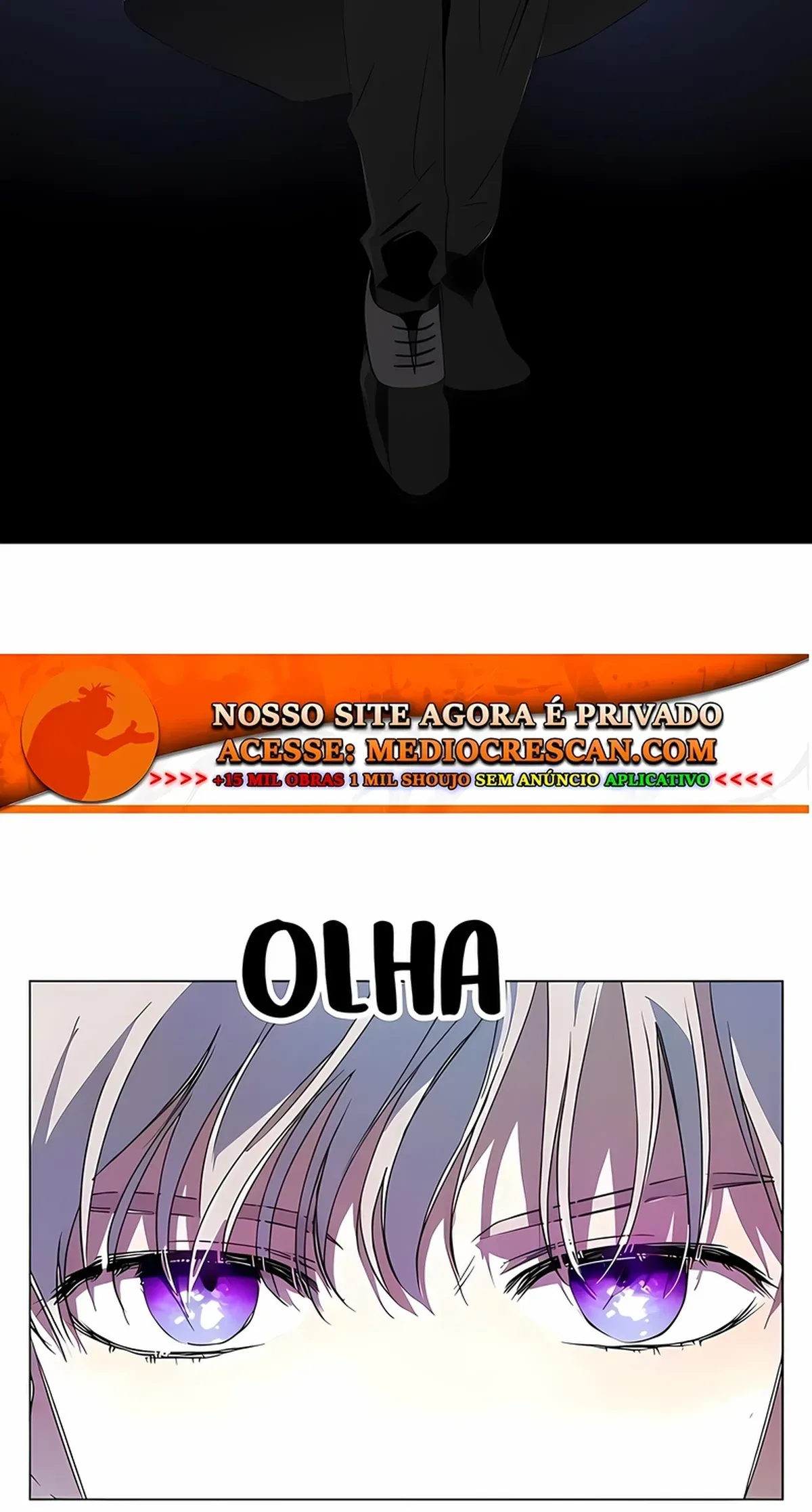 Página 100